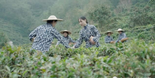 有关于望谟：推进茶产业 以产业兴旺共振乡村发展的最新消息(1)