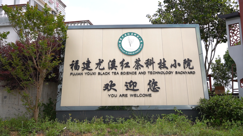 有关于“三驾马车”齐发力，这个红茶产区有哪些发展亮点？的消息(10)