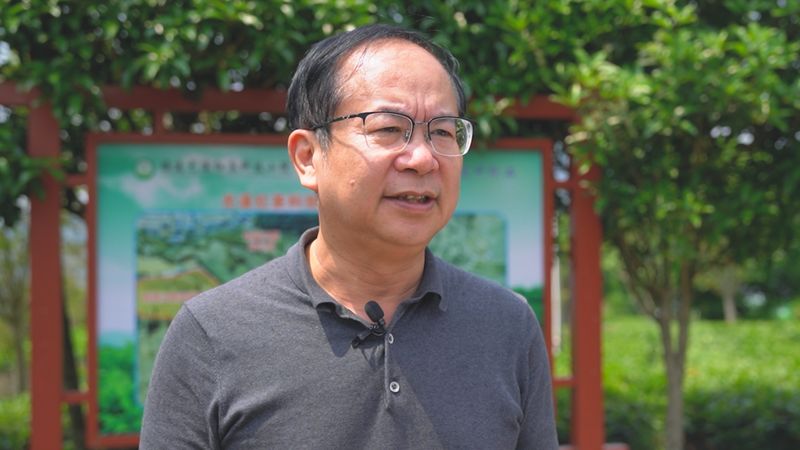有关于“三驾马车”齐发力，这个红茶产区有哪些发展亮点？的消息(2)