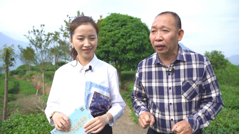 有关于“三驾马车”齐发力，这个红茶产区有哪些发展亮点？的消息(7)