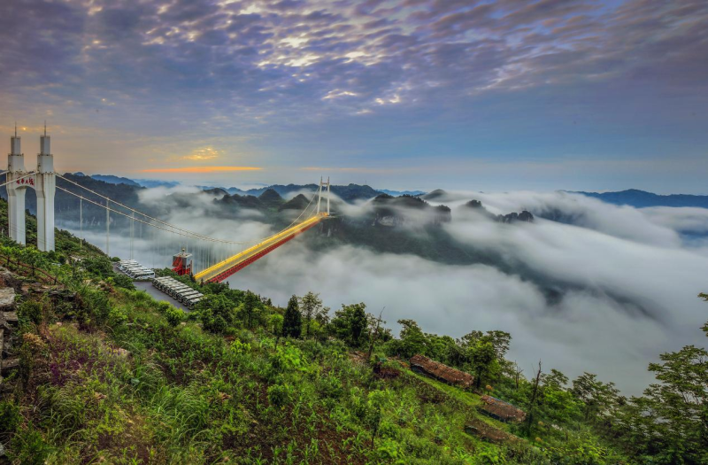 关于吉首：“一茶一旅一路”助力乡村振兴的资讯(1)
