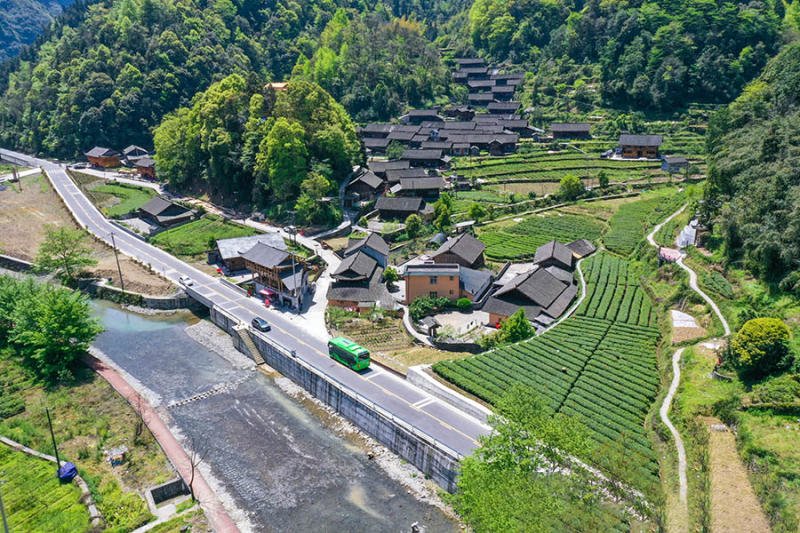 关于吉首：“一茶一旅一路”助力乡村振兴的资讯(2)