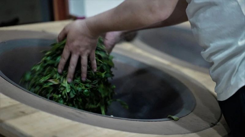 有关于武夷茶史，追溯岁月长河中的起源与发展的相关内容(16)