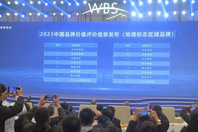 有关于武夷茶史，追溯岁月长河中的起源与发展的相关内容(36)