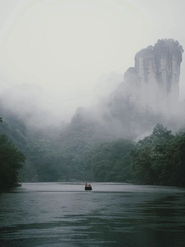 有关于武夷茶史，追溯岁月长河中的起源与发展的相关内容