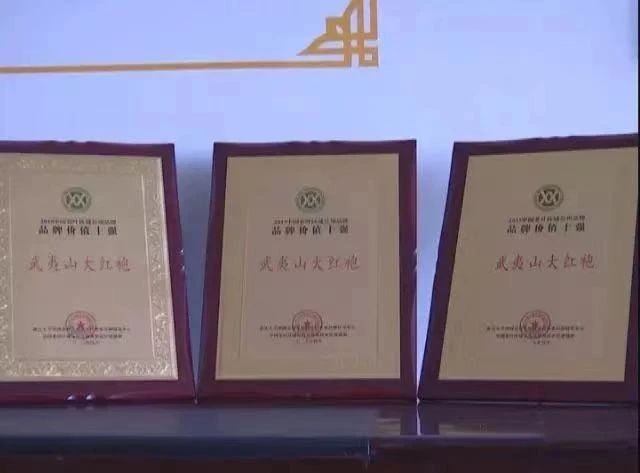 有关于武夷茶史，追溯岁月长河中的起源与发展的相关内容(34)