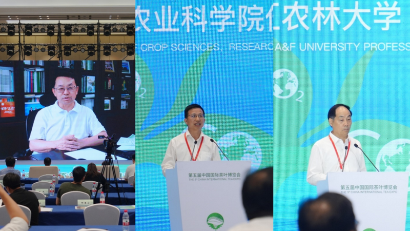 有关于中国茶产业生态低碳发展信息交流会在杭州举办的信息(8)