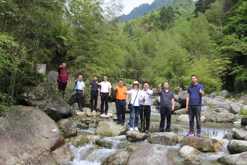 关于湖南省农业农村厅种业管理处王伟成率省、市专家组调研新宁舜皇山野茶的内容(5)