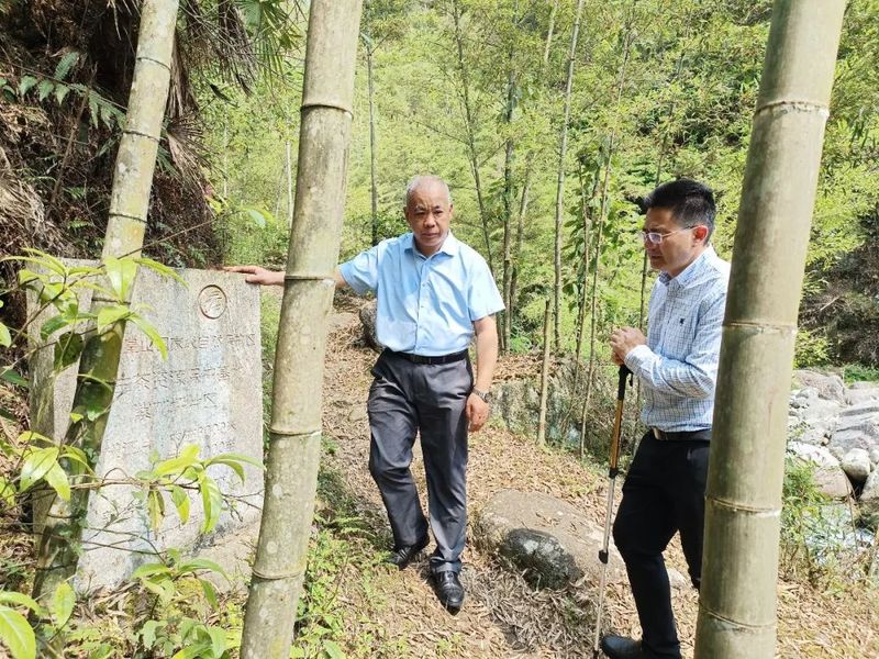 关于湖南省农业农村厅种业管理处王伟成率省、市专家组调研新宁舜皇山野茶的内容(2)