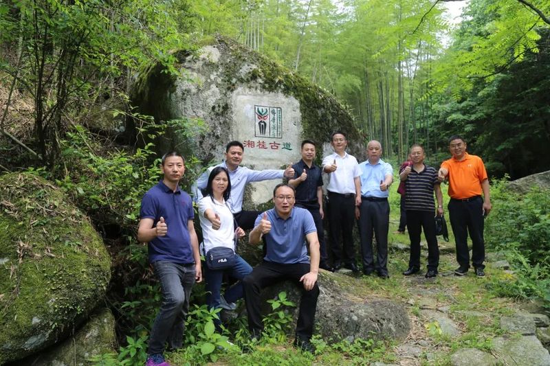 关于湖南省农业农村厅种业管理处王伟成率省、市专家组调研新宁舜皇山野茶的内容