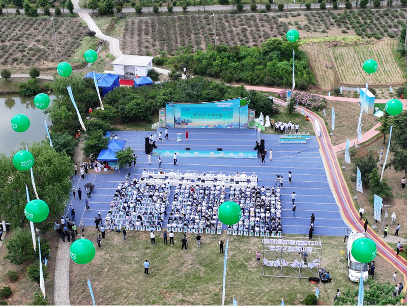 关于2023 南京都市圈（盱眙） 雨山茶旅文化节开幕的信息