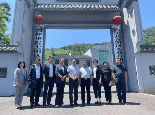 有关于王瑰曙深入古丈县坪坝镇调研茶产业发展的内容(1)