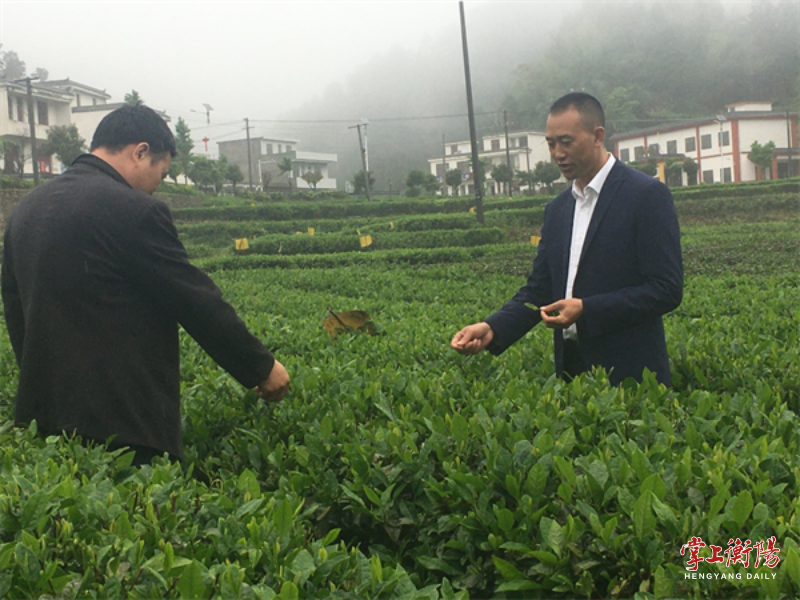 关于何万忠：致力延长茶产业链，建设美丽生态瑶乡的消息