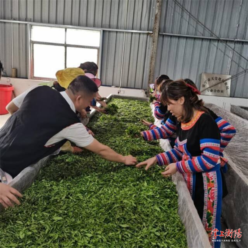 关于何万忠：致力延长茶产业链，建设美丽生态瑶乡的消息(2)