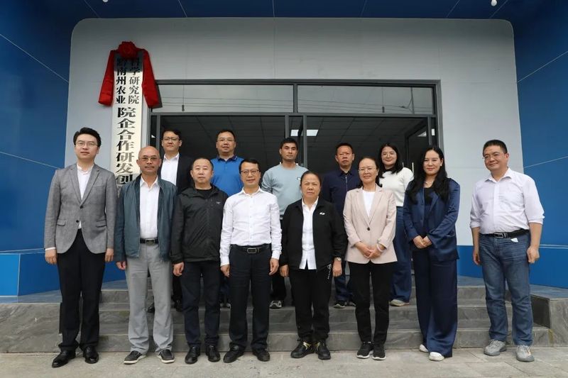 有关于院企合作，助推都匀毛尖茶叶衍生品特色产业发展的相关信息(3)