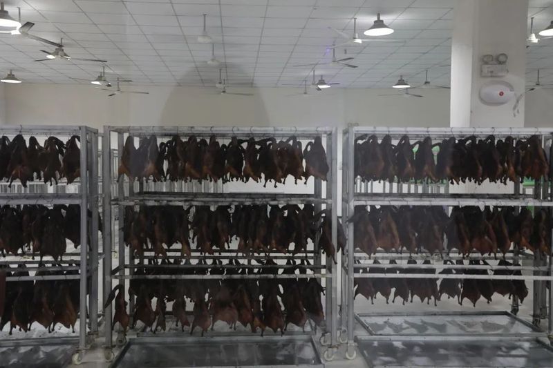 有关于院企合作，助推都匀毛尖茶叶衍生品特色产业发展的相关信息(8)