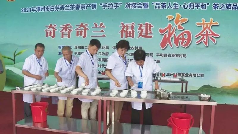 关于漳州市白芽奇兰茶春茶产销“手拉手”对接会举行的相关信息(3)
