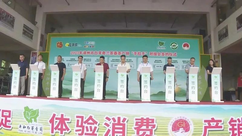 关于漳州市白芽奇兰茶春茶产销“手拉手”对接会举行的相关信息(2)
