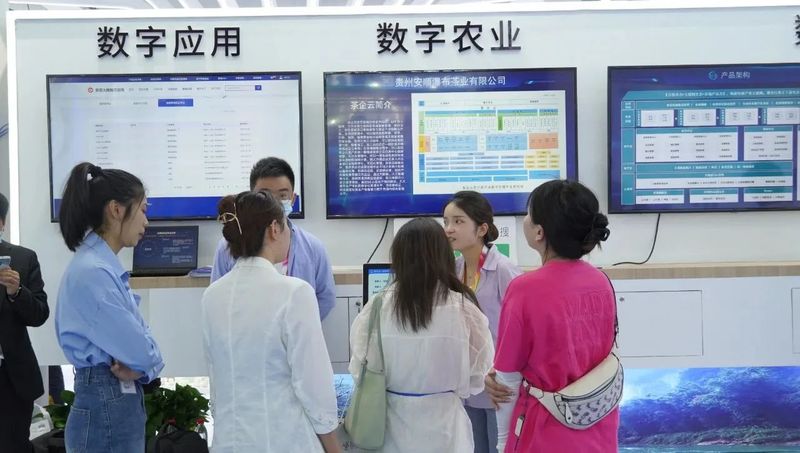 关于5月茶情，扬中国品牌 庆国际茶日 黔茶魅力无法挡的相关信息(14)