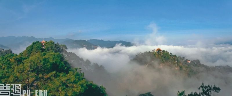 有关于生态普洱茶省级地方标准今日起实施的信息(1)