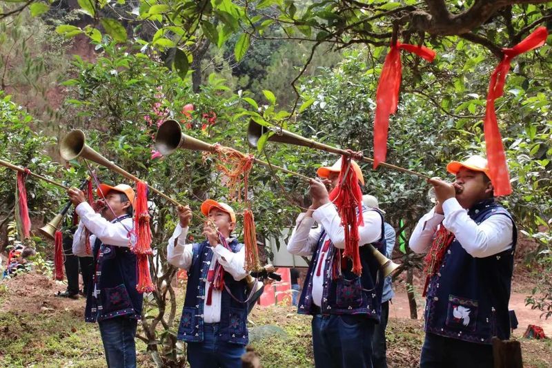 有关于以茶会友！墨江县举办“太阳转身 凤凰出山”首届古茶节的消息(2)