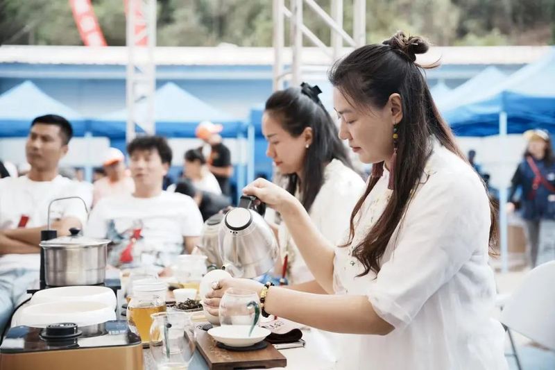 有关于以茶会友！墨江县举办“太阳转身 凤凰出山”首届古茶节的消息(10)