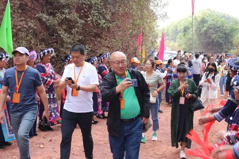 有关于以茶会友！墨江县举办“太阳转身 凤凰出山”首届古茶节的消息