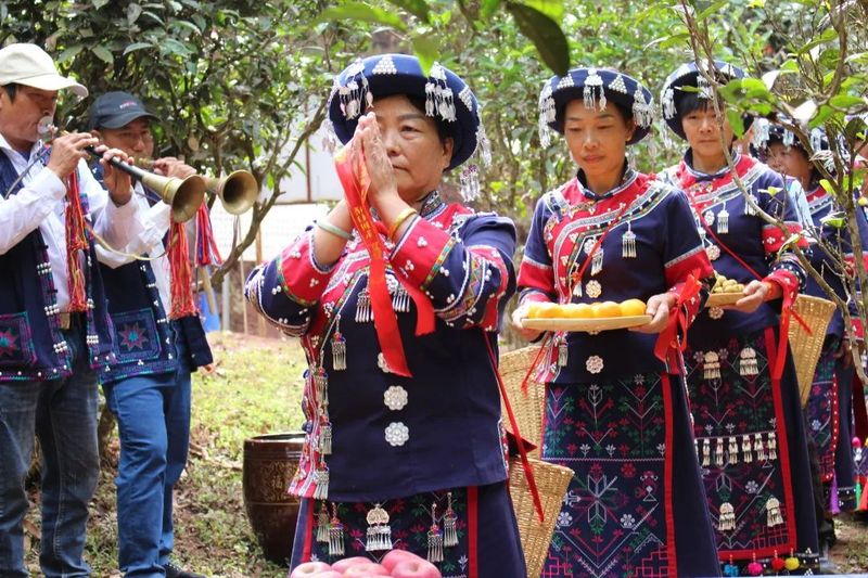 有关于以茶会友！墨江县举办“太阳转身 凤凰出山”首届古茶节的消息(1)