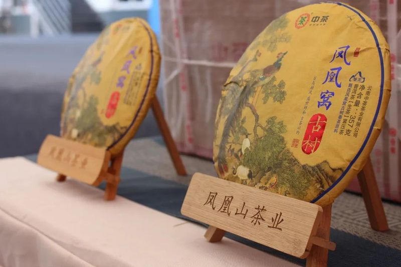 有关于以茶会友！墨江县举办“太阳转身 凤凰出山”首届古茶节的消息(5)
