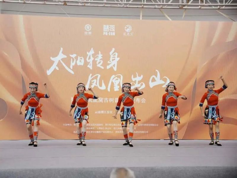 有关于以茶会友！墨江县举办“太阳转身 凤凰出山”首届古茶节的消息(3)