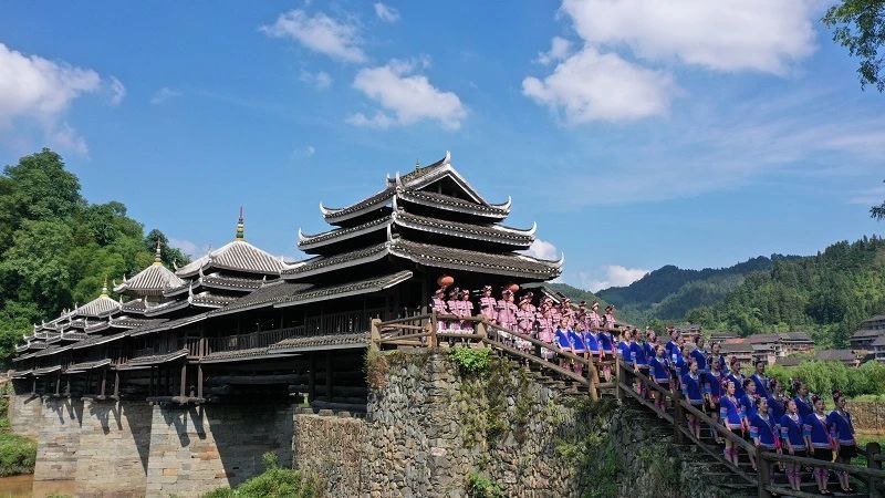 有关于百里侗乡 茶叶飘香——三江茶产业发展形势介绍的内容