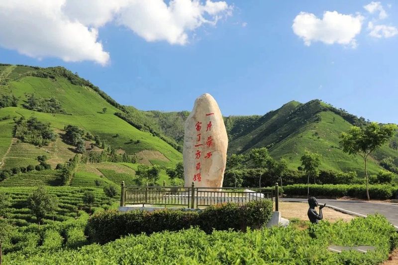 有关于“绿水青山就是金山银山”理念诞生地——浙江安吉的最新消息(1)