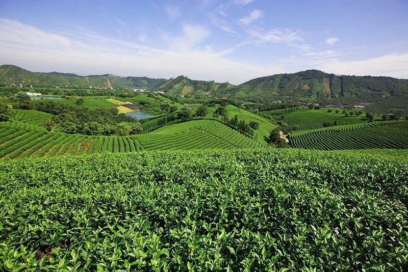 有关于“绿水青山就是金山银山”理念诞生地——浙江安吉的最新消息(2)