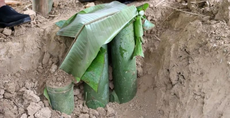 关于从神奇叶子中品读中国！云南的茶为何让俄罗斯友人如此着迷？的新闻(10)