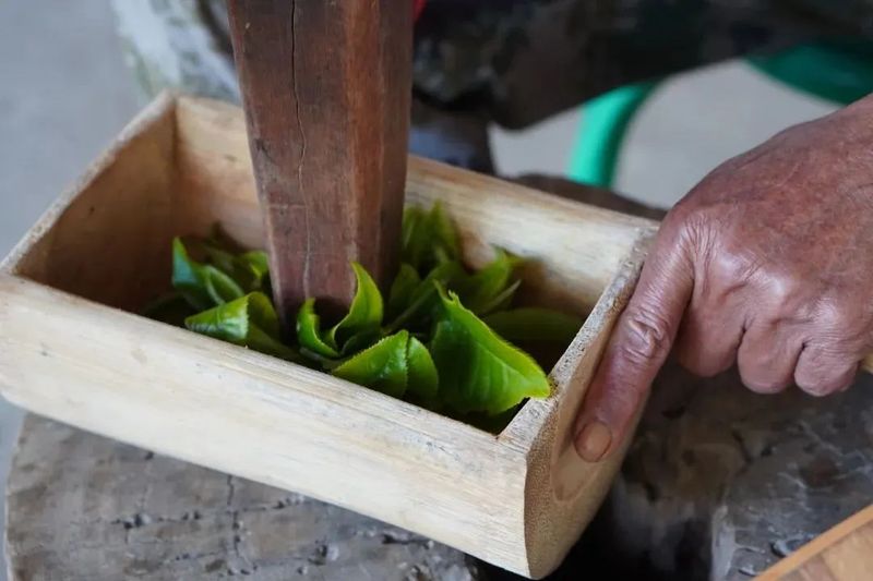 关于从神奇叶子中品读中国！云南的茶为何让俄罗斯友人如此着迷？的新闻(11)