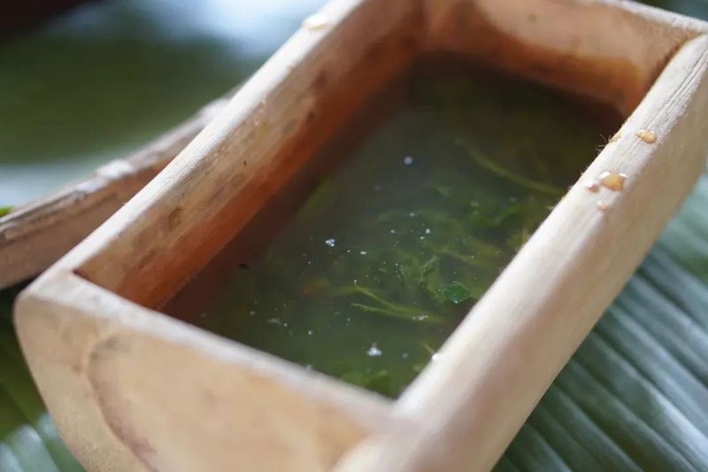 关于从神奇叶子中品读中国！云南的茶为何让俄罗斯友人如此着迷？的新闻(14)