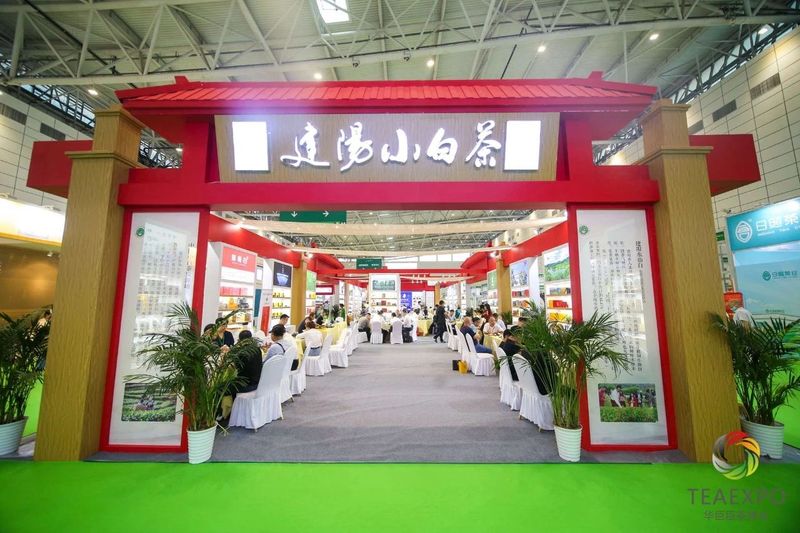 有关于2023“国际茶日”系列活动暨第二届建阳国际茶文化节完美收官！的消息(2)