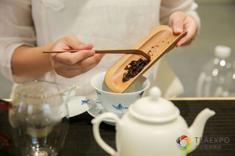 有关于2023“国际茶日”系列活动暨第二届建阳国际茶文化节完美收官！的消息