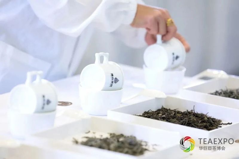 有关于2023“国际茶日”系列活动暨第二届建阳国际茶文化节完美收官！的消息(1)