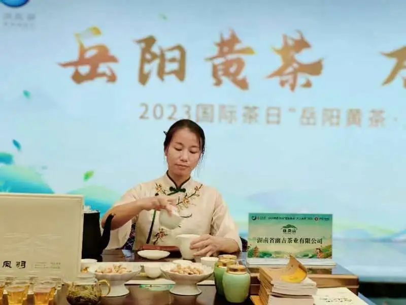 关于共品茶香茶韵 共享美好生活——2023国际茶日“岳阳黄茶·万人品茗”活动启动的相关内容(12)