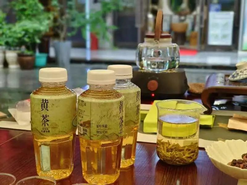 关于共品茶香茶韵 共享美好生活——2023国际茶日“岳阳黄茶·万人品茗”活动启动的相关内容(10)