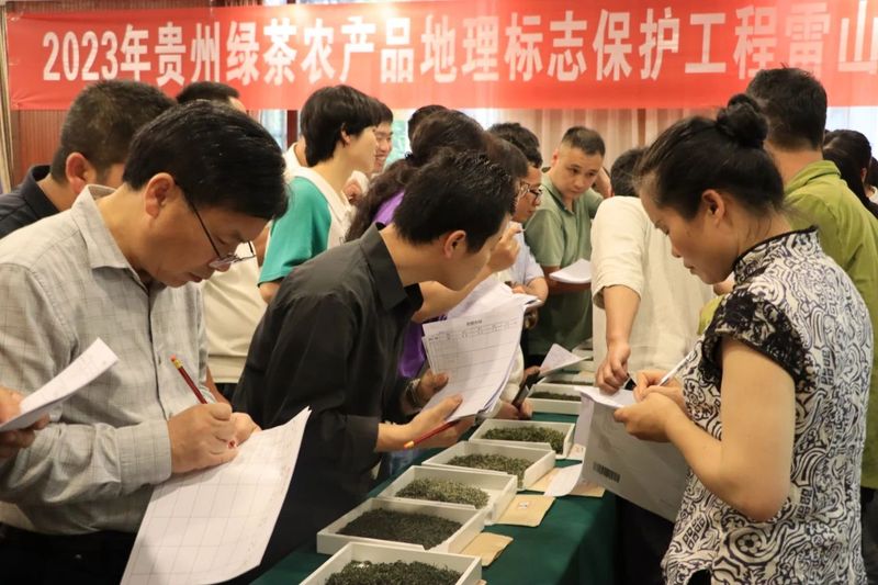 有关于2023贵州绿茶农产品地理标志保护工程雷山培训圆满结束的相关内容(4)