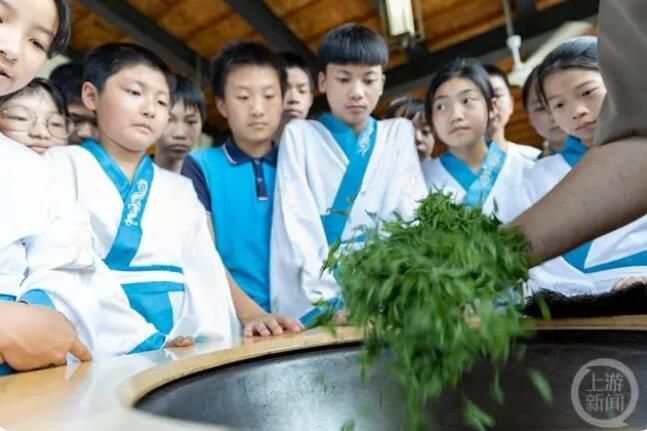 关于采茶制茶学起来 感受非遗迎“六一”的资讯(2)
