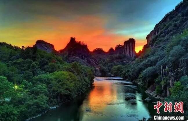 关于海内外专家茶企共谋茶产业发展迎国际茶日的信息(5)