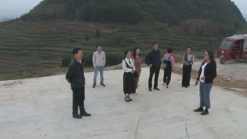 关于关岭县政协开展全县茶产业发展工作调研的信息(2)