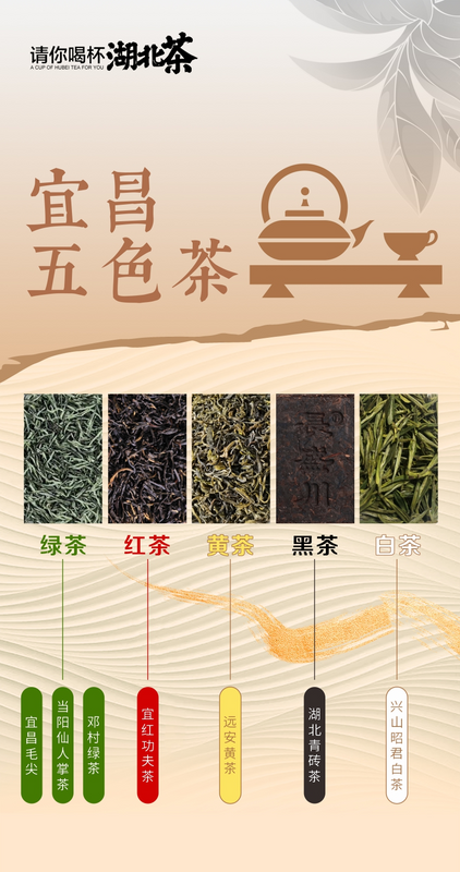 有关于寻茶湖北， 宜昌凭啥成为湖北颜值最高的茶产区？的新闻(3)