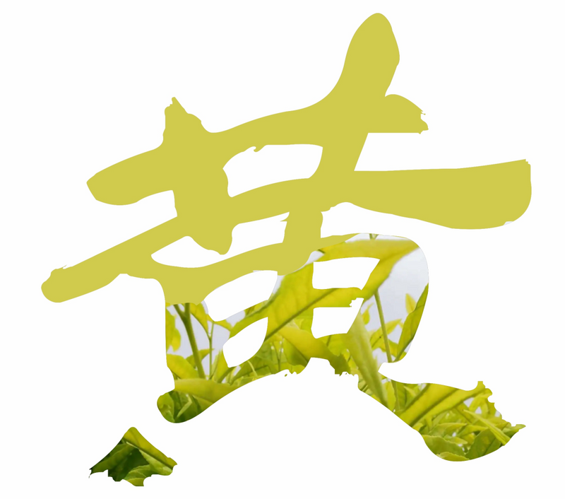 有关于寻茶湖北， 宜昌凭啥成为湖北颜值最高的茶产区？的新闻(17)