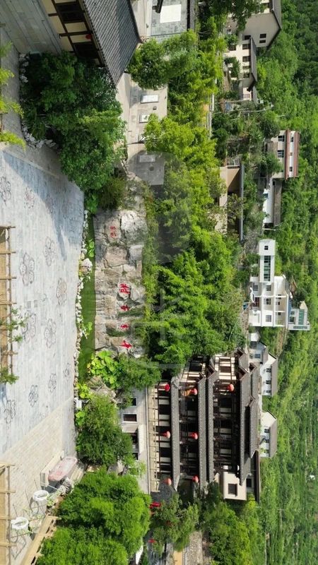 有关于寻茶湖北， 宜昌凭啥成为湖北颜值最高的茶产区？的新闻(22)