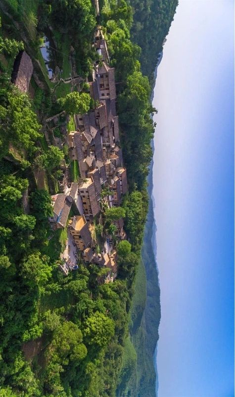 有关于寻茶湖北， 宜昌凭啥成为湖北颜值最高的茶产区？的新闻(18)