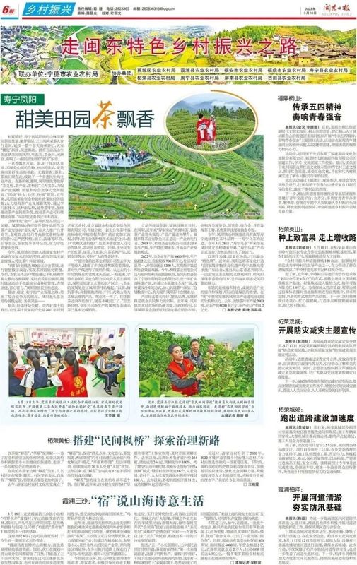 有关于寿宁凤阳：甜美田园茶飘香的内容